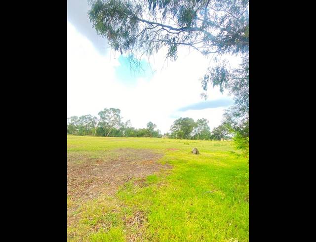 LAND FOR SALE IN STRUISBULT